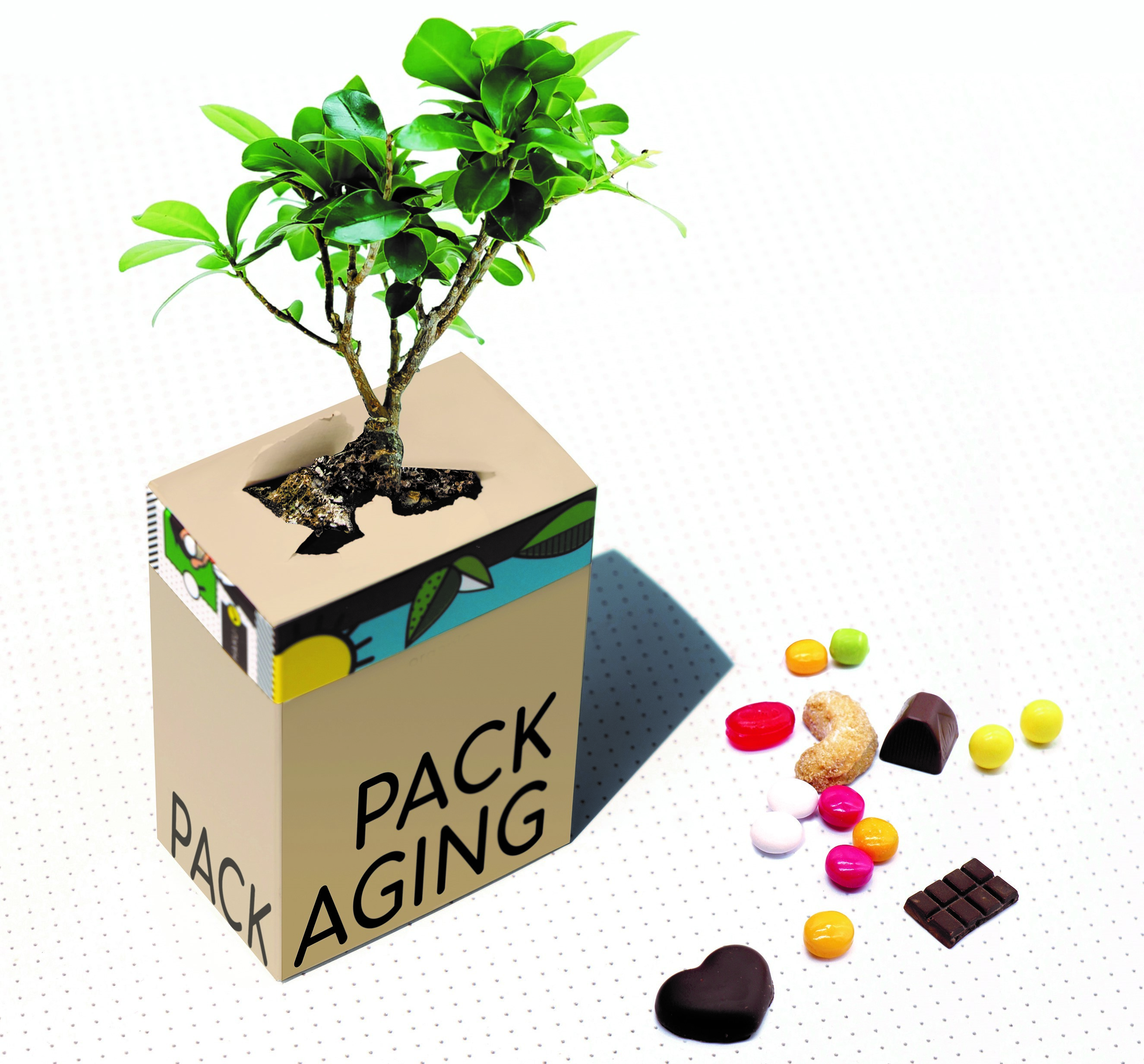 Optima Solutions Services Srl