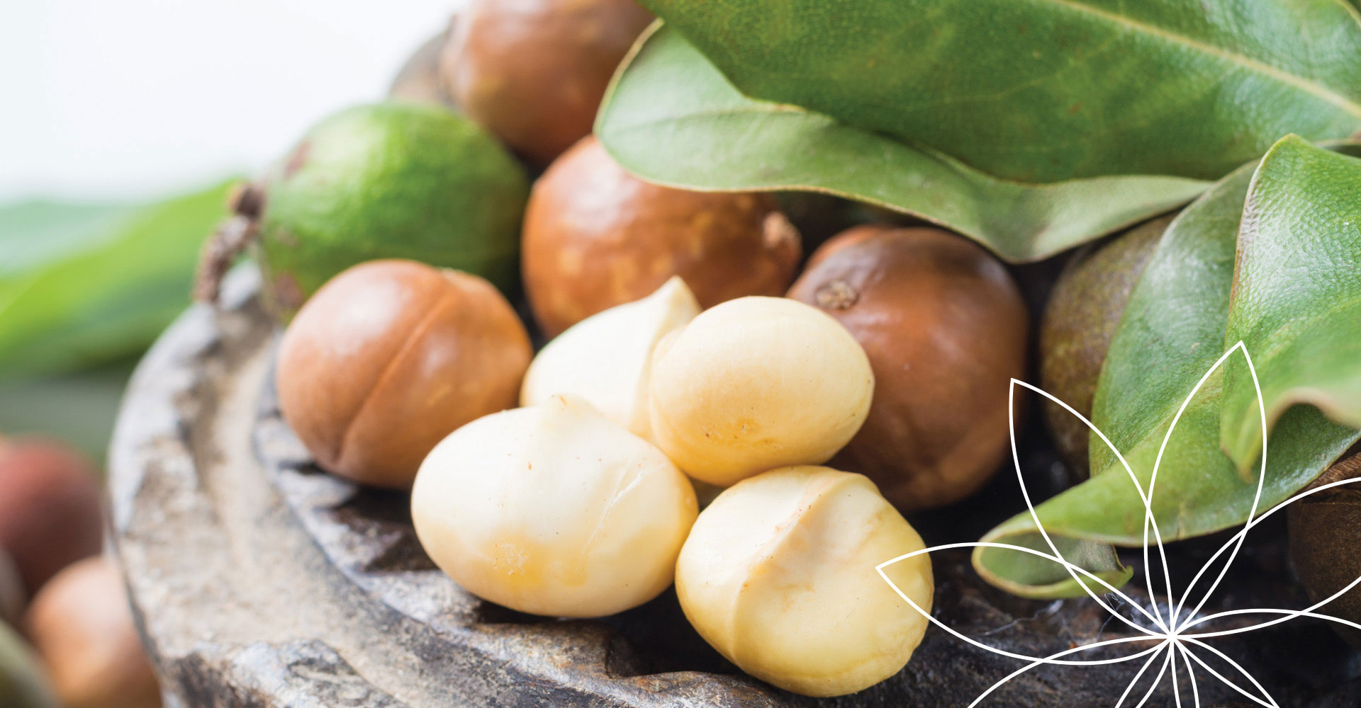 Market value for macadamias grows by 72 News sweets processing